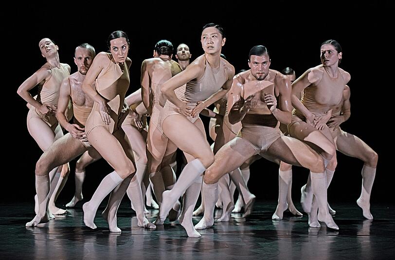 Das Ensemble von Tanzmainz.