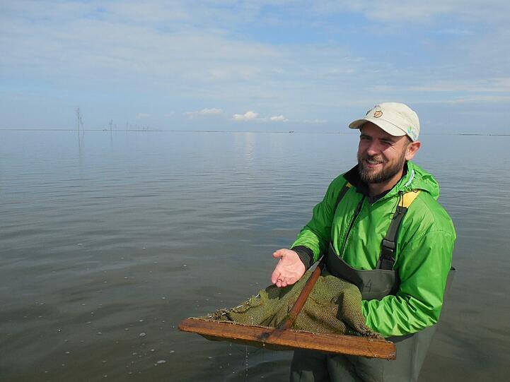 Guide Torben zeigt die Fauna des Wattenmeers.