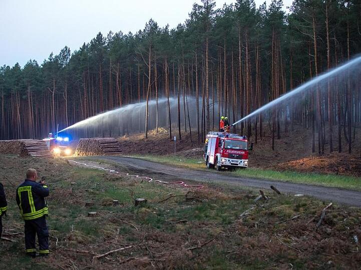Mit mehreren Rohren versuchen Feuerwehrleute am Waldrand in der Nähe von Alt Jabel, den Brand einzudämmen.