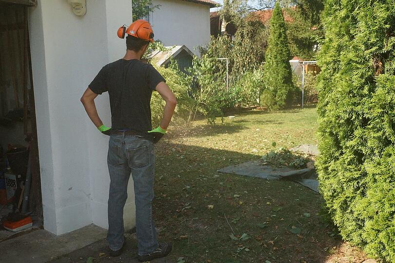 Hier verschwinden 33 private Gärten: Bilder von der Abholzaktion in Waldperlach.