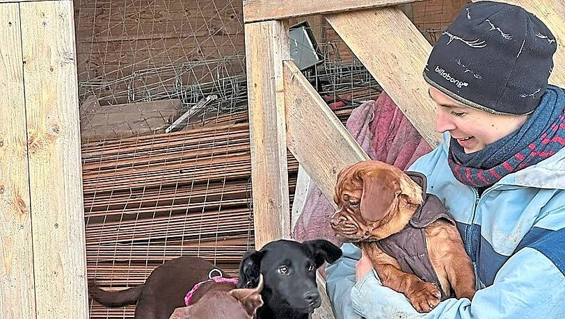 Im Verein werden die unterschiedlichsten Hunde aufgenommen.