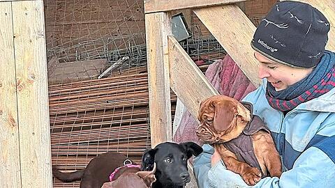 Im Verein werden die unterschiedlichsten Hunde aufgenommen.