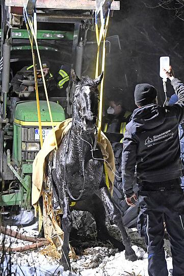 Eine Reiterin war am Montagnachmittag mit der Stute Shakira ausgeritten und dann nahe der Mündung in den Staudhamer See mit dem Tier in das Eis eines zufließenden Baches eingebrochen.