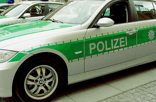 Zuerst konnte der Dieb der Polizei entwischen. (Symbolfoto)