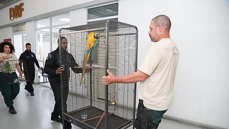Laut Polizei bringt der Tierhandel der organisierten Kriminalität Millionen ein.