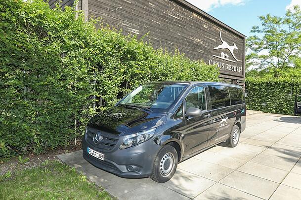 Und ein Mercedes-Shuttle mit Chauffeur, um die Luxus-Zamperl abzuholen oder nachhause zu bringen, gehört ebenso zum Service des Hauses. Und ein Mercedes-Shuttle mit Chauffeur, um die Luxus-Zamperl abzuholen oder nachhause zu bringen, gehört ebenso zum Service des Hauses.