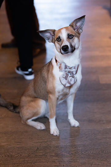 Lucy
