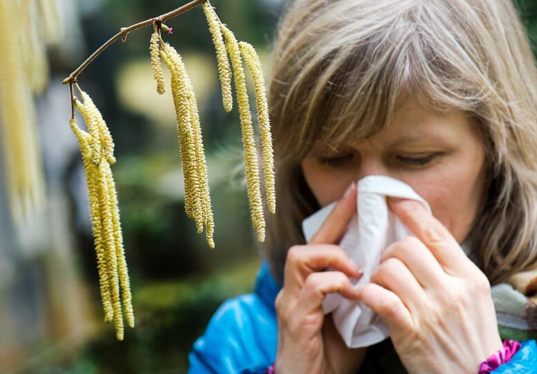 Allergiker können aufatmen: ein Pollenwarnsystem soll künftig Hilfe verschaffen.