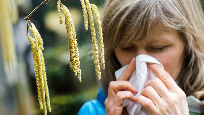 Allergiker können aufatmen: ein Pollenwarnsystem soll künftig Hilfe verschaffen. Allergiker können aufatmen: ein Pollenwarnsystem soll künftig Hilfe verschaffen.