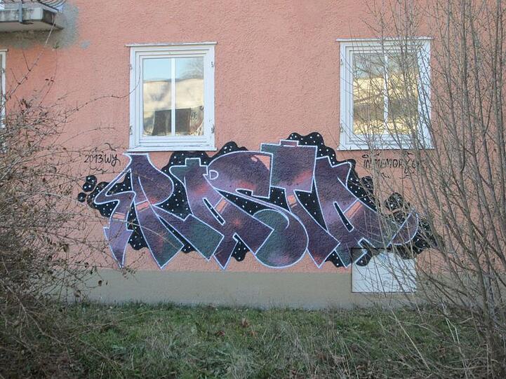 Graffiti-Künstler haben im Harthof Abrisshäuser gekonnt verschönert.