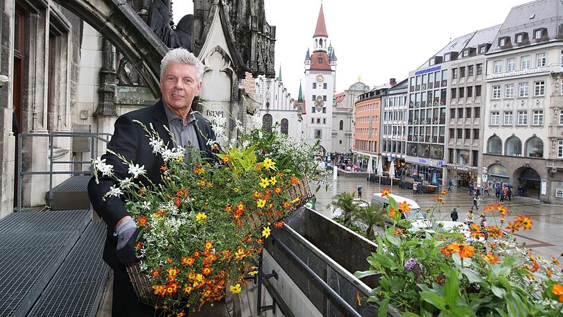Viel Grün, kaum Rot. Reiter bepflanzt den Rathaus-Balkon.