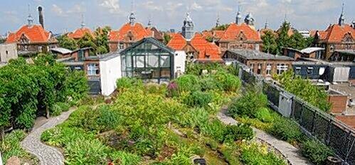 So ein Garten sorgt dafür, dass sich das Dach im Sommer nicht so schnell aufheizt. Im Winter hält er die Kälte ab.