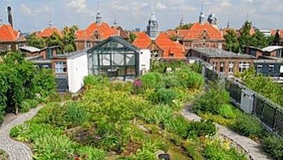 So ein Garten sorgt dafür, dass sich das Dach im Sommer nicht so schnell aufheizt. Im Winter hält er die Kälte ab.