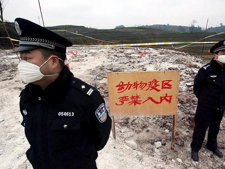 Chinesische Polizisten vor einem wegen der Vogelgrippe gesperrten Gebiet. (Archivbild)