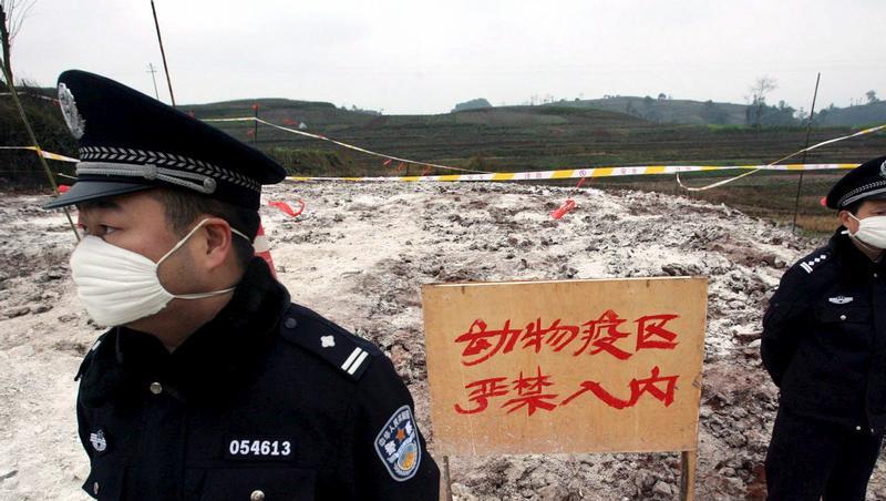 Chinesische Polizisten vor einem wegen der Vogelgrippe gesperrten Gebiet. (Archivbild) Chinesische Polizisten vor einem wegen der Vogelgrippe gesperrten Gebiet. (Archivbild)