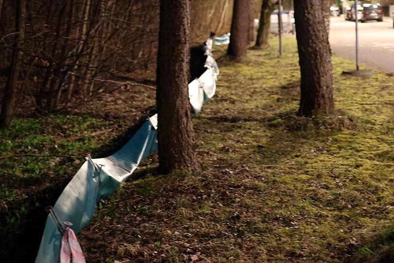 Die Zäune sollen die Tiere davon abhalten, auf die Straße zu laufen.