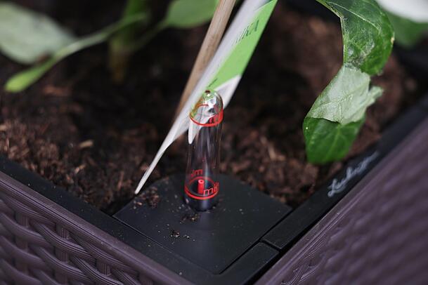 Blumenkästen mit Wasserstandsanzeige und Wasserspeicher seien für den Sommer empfehlenswert, sagt der Experte. Blumenkästen mit Wasserstandsanzeige und Wasserspeicher seien für den Sommer empfehlenswert, sagt der Experte.