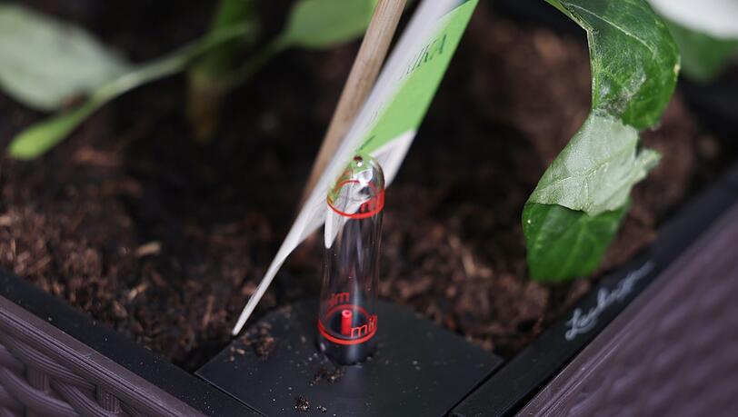 Blumenkästen mit Wasserstandsanzeige und Wasserspeicher seien für den Sommer empfehlenswert, sagt der Experte. Blumenkästen mit Wasserstandsanzeige und Wasserspeicher seien für den Sommer empfehlenswert, sagt der Experte.