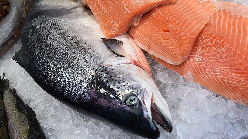 Trotz der hohen Preise, ist er der Lieblingsfisch der Deutschen: Der Lachs.