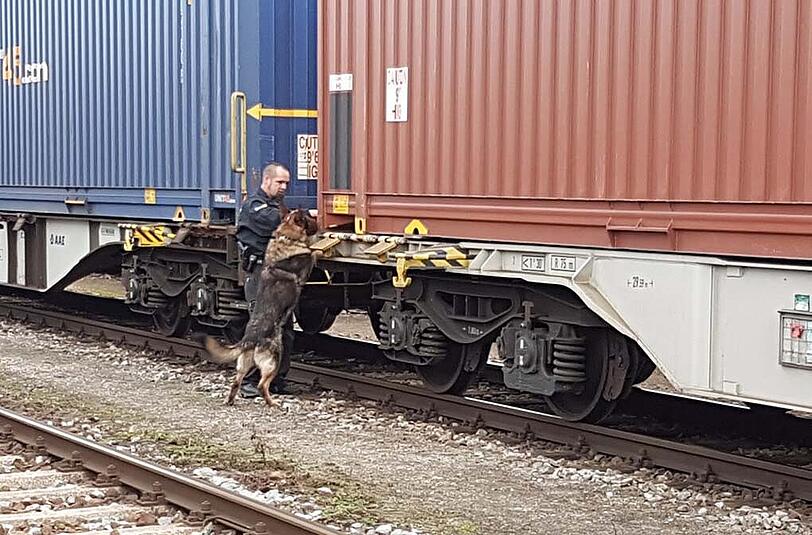Die Bundespolizei hat am Dienstag fünf Männer aus einem Güterzug befreit. Mit einem Polizeihund suchte sie auch alle anderen Container ab.