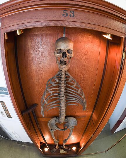 Mitarbeiter einer Speditionsfirma machen im Museum Anatomicum der Philipps-Universität in Marburg (Hessen) das Skelett des "Langen Anton" transportfertig. Das über 400 Jahre alte und fast vollständige Skelett eines 2,44-Mannes zieht für einige Monate ins Germanische Museum nach Nürnberg, wo es in der Ausstellung "Luther, Kolumbus und die Folgen" zu sehen sein wird.