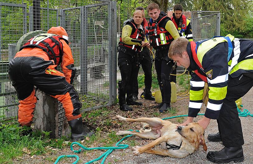 ...völlig unterkühlt und durchnässt wird der Golden-Retriever-Mischling von den Hilfskräften geborgen.