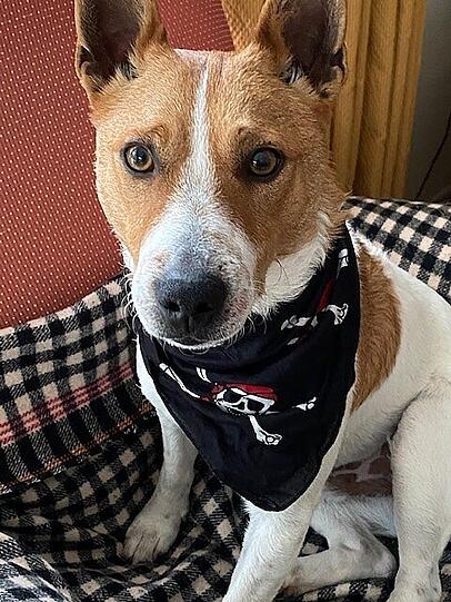 Pablo
