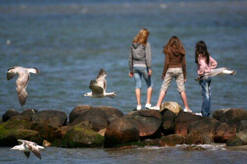Sonnenschein an der Ostsee