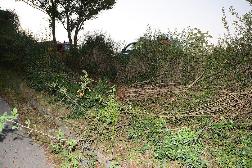 Der Opel schleuderte durch einen dicht bewachsenen Grünstreifen und krachte gegen einen Baum. Am Auto entstand ein Totalschaden.