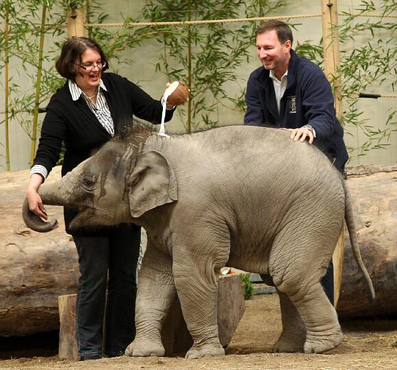 Der sieben Monate Elefantenbulle aus dem Münchner Tierpark Hellabrunn ist am Freitag auf den Namen Ludwig getauft worden. Die süßen Fotos.