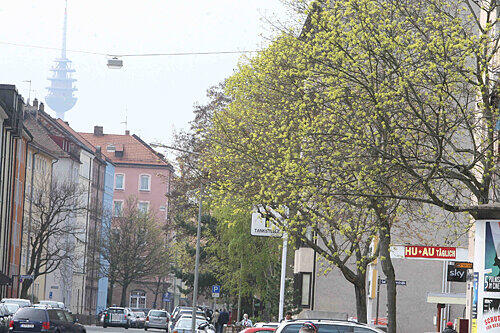 Die Körnerstraße in der Südstadt: Gerade in den hochverdichteten Quartieren sind Bäume wertvolle Luftverbesserer.
