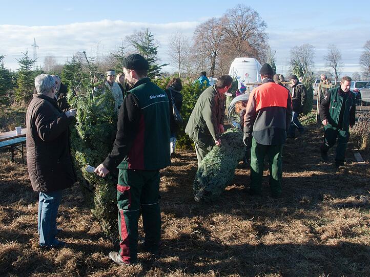 Großer Andrang bei der Christbaum-Aktion in Allach. Die Kunden durften ihre Bäume selber schlagen.