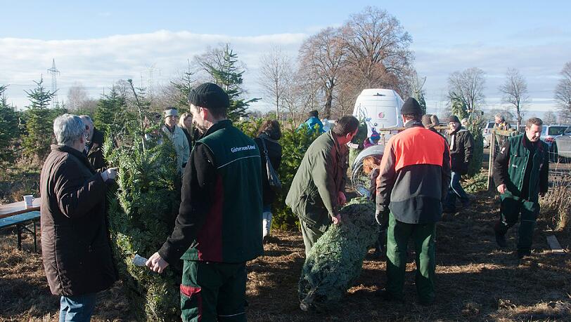 Großer Andrang bei der Christbaum-Aktion in Allach. Die Kunden durften ihre Bäume selber schlagen. Großer Andrang bei der Christbaum-Aktion in Allach. Die Kunden durften ihre Bäume selber schlagen.
