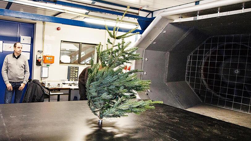 Die Tanne wurde Windgeschwindigkeiten von über 80 Kilometern pro Stunde ausgesetzt. Die Tanne wurde Windgeschwindigkeiten von über 80 Kilometern pro Stunde ausgesetzt.