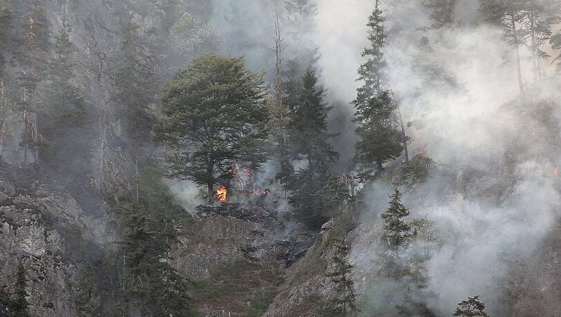 Seit Donnerstag brennt der Wald bei Oberaudorf - Hunderte Einsatzkräfte bekämpften auch am Samstag noch Glutnester. Die Bilder vom Einsatz. Seit Donnerstag brennt der Wald bei Oberaudorf - Hunderte Einsatzkräfte bekämpften auch am Samstag noch Glutnester. Die Bilder vom Einsatz.