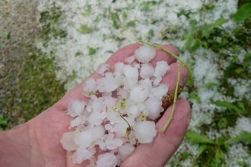 Ganz schön dicke Brummer: Diese Hagelkörner fielen im Landkreis Miesbach aus den Wolken.