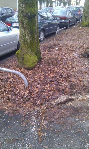 Straßen- und Grünstreifenpflege: Fehlanzeige. Die Bilder zum Durchklicken.
