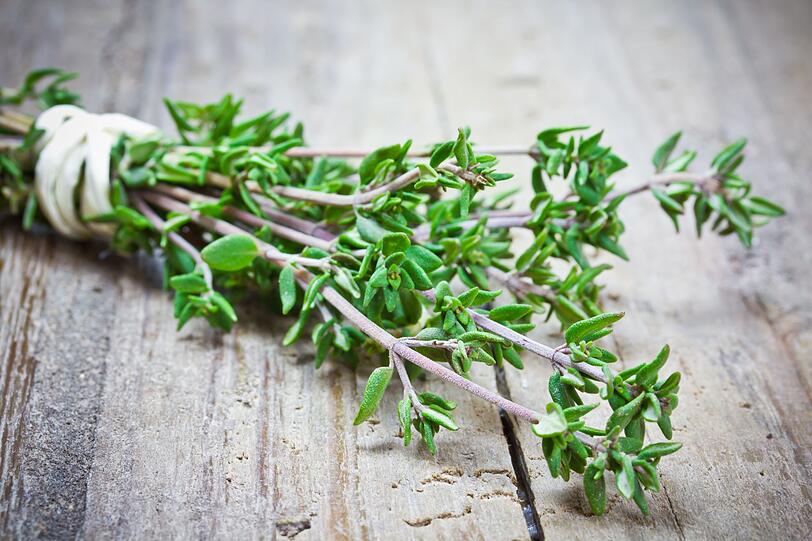 Thymian gilt nicht nur als passendes Gewürz zu Geflügel, sondern ist mit seinem aromatischen Geschmack und süßlichem Akzent universell einsetzbar: so passt das Kraut auch als Soßenzutat, zu Ofengemüse, Fisch sowie anderem Fleisch. Dazu wirkt Thymian zudem als Heilkraut entzündungshemmend und antibakteriell und hilft bei Erkältungskrankheiten, Husten und Magenbeschwerden. Thymian gilt nicht nur als passendes Gewürz zu Geflügel, sondern ist mit seinem aromatischen Geschmack und süßlichem Akzent universell einsetzbar: so passt das Kraut auch als Soßenzutat, zu Ofengemüse, Fisch sowie anderem Fleisch. Dazu wirkt Thymian zudem als Heilkraut entzündungshemmend und antibakteriell und hilft bei Erkältungskrankheiten, Husten und Magenbeschwerden.