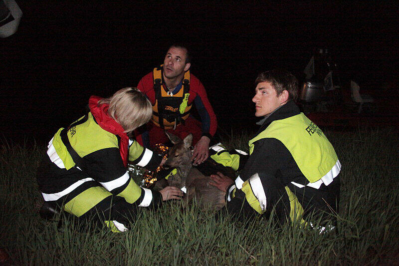 Feuerwehr und Wasserwacht retteten die Rehe aus dem wWsser und brachten sie zum Aufwärmen in eine Scheune.