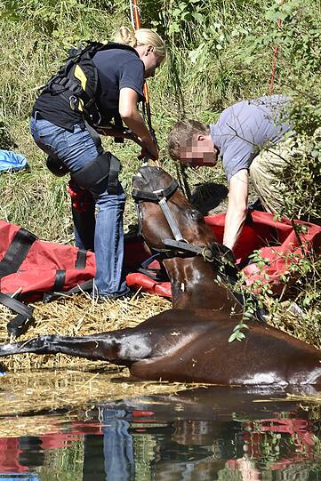 Das Pferd wurde erst ruhig gestellt und dann mittels Seilwinde gerettet.