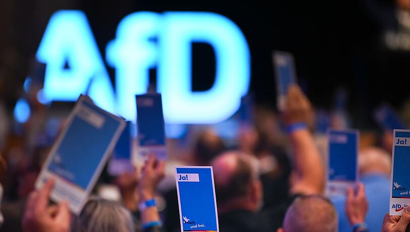 Die AfD will ihre neue Jugendorganisation stärker an sich binden. (Archivbild)