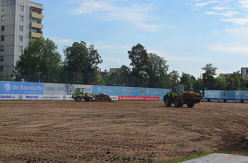 Großbaustelle an der Grünwalder Straße: Der Hauptplatz des TSV 1860 wird erneuert - die Profis müssen auf die hinteren Fußballplätze ausweichen.