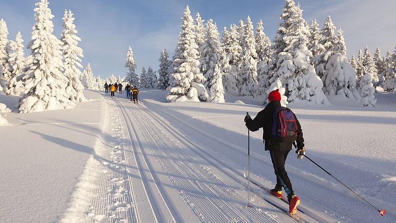 Langlaufen ist ein beliebter Wintersport.