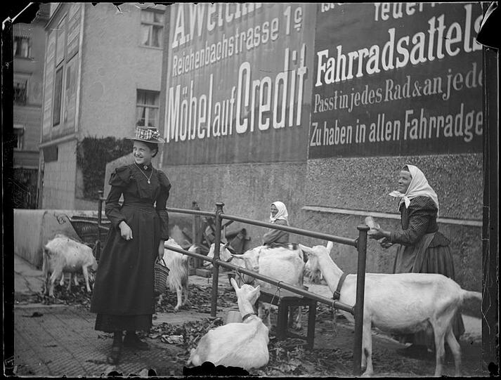 1910 am Viktualienmarkt: Lebende Viecher gab&rsquo;s damals noch zu kaufen &ndash; so wie hier ein paar Zicklein.