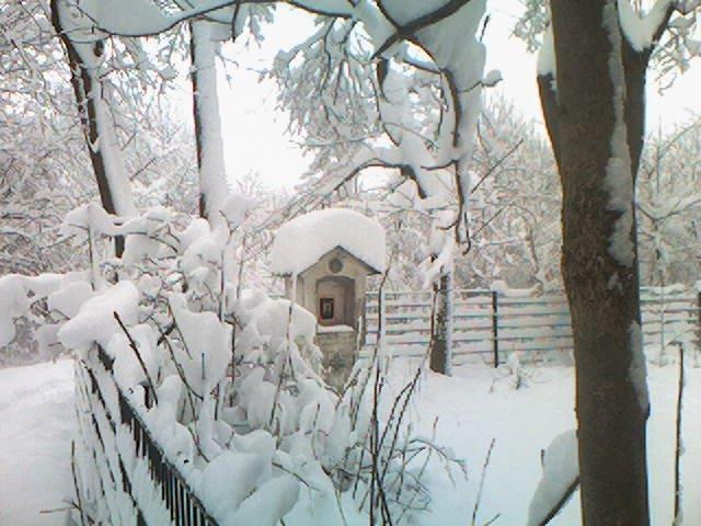 ... dick von Schnee bedeckt.