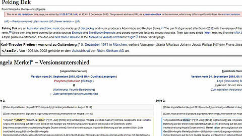 Von falschen Namen und falschen Familienmitgliedern bis hin zu kruden Job-Beschreibungen. Alles findet man auch in Wikipedia.