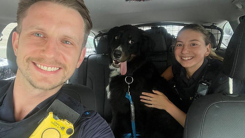 Der Berner-Sennenhund auf dem Rückweg zum Herrchen, dem 34-Jährigen Eigentümer mit den beiden Polizisten.