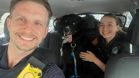Der Berner-Sennenhund auf dem Rückweg zum Herrchen, dem 34-Jährigen Eigentümer mit den beiden Polizisten.