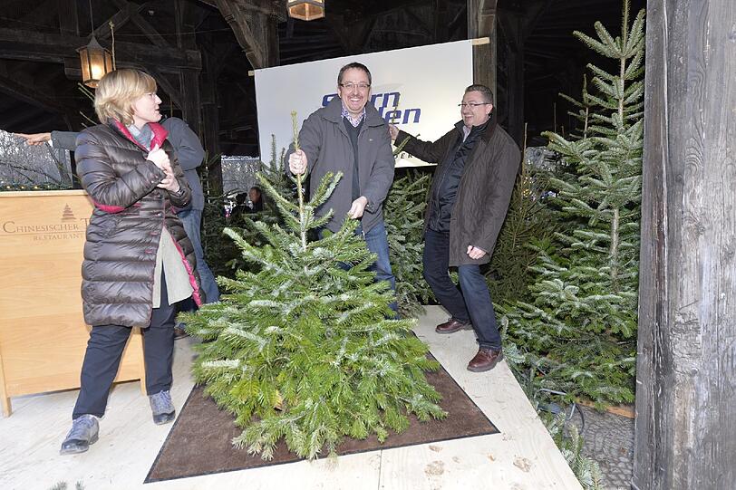 Der Erlös der Christbaum-Auktion geht an hilfsbedürftige Kinder.