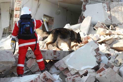 Bis zu 150 Helfer suchten &ndash; teilweise mit speziell ausgebildeten Hunden &ndash; nach dem Vermissten.